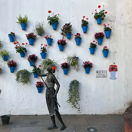 La Carmela - Casco Historico Con Vistas Appartement *